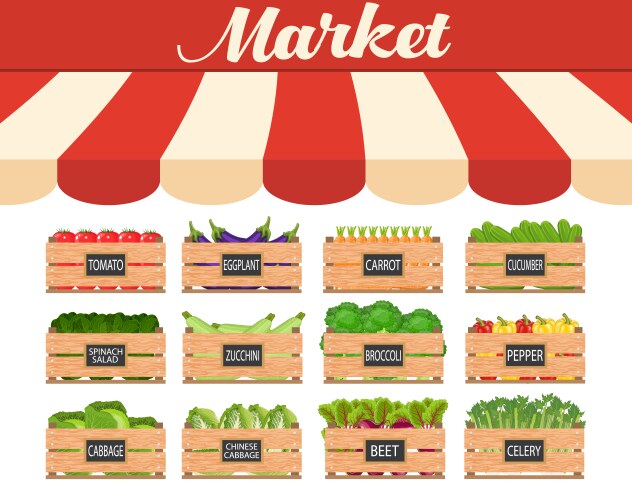 Vegetable store showcase Royalty Free Vector Image