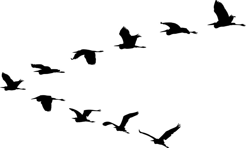 Birds in V Formation Vector Image