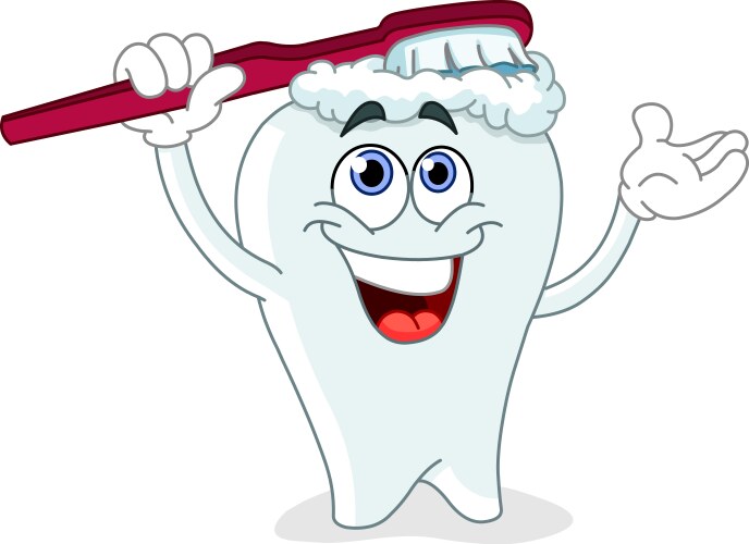 brushing tooth vector image