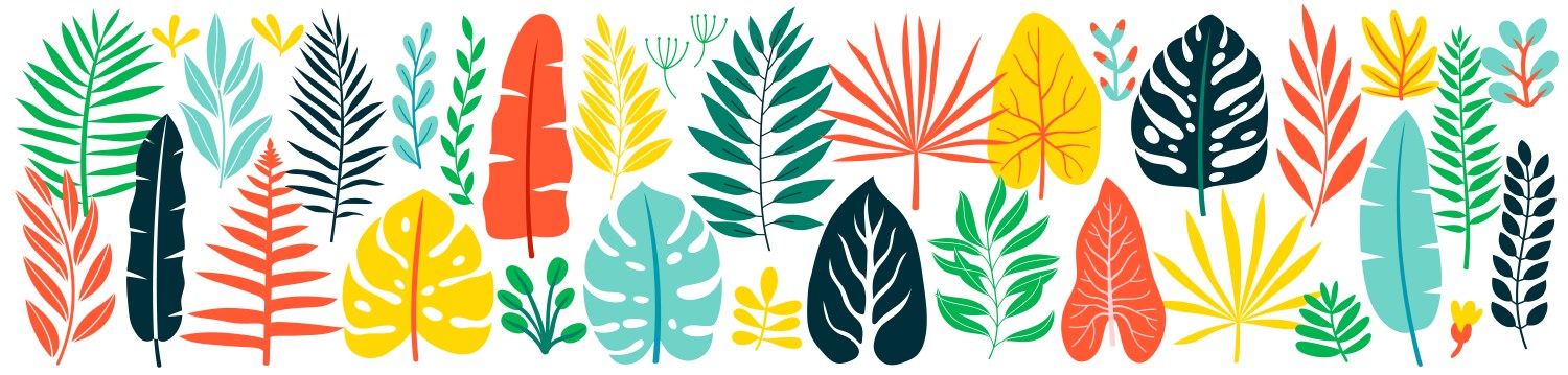 Jungle leaves plants floral elements cute hand Vector Image