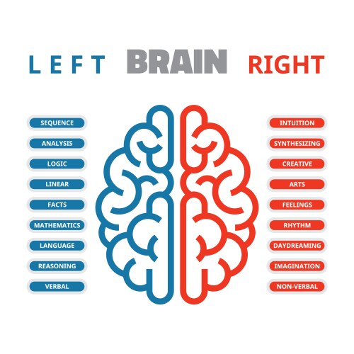 Creative left and right brain sign Royalty Free Vector Image