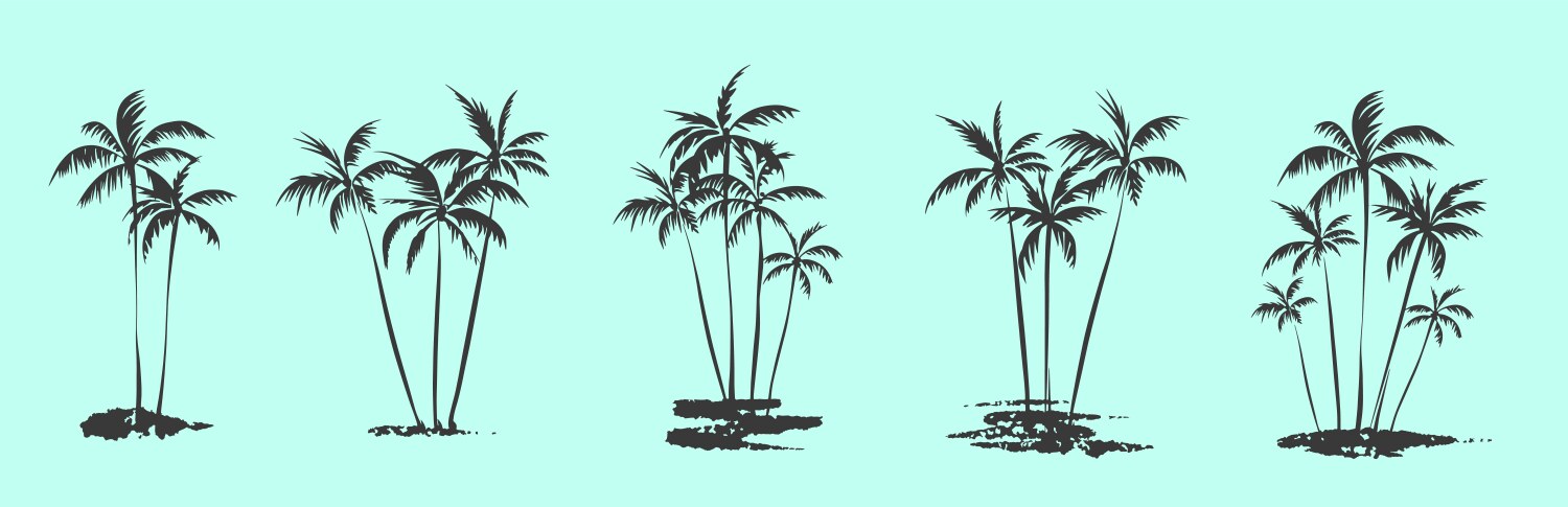Palm Tree Ink Brush Drawing Vector Image