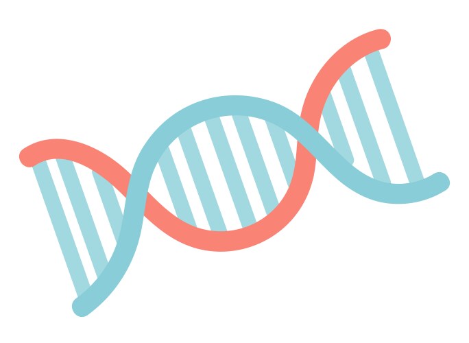 Dna molecule in flat design genetic vector image