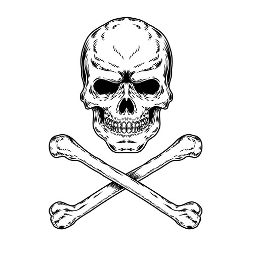 Skull and Crossbones Symbol Vector Image