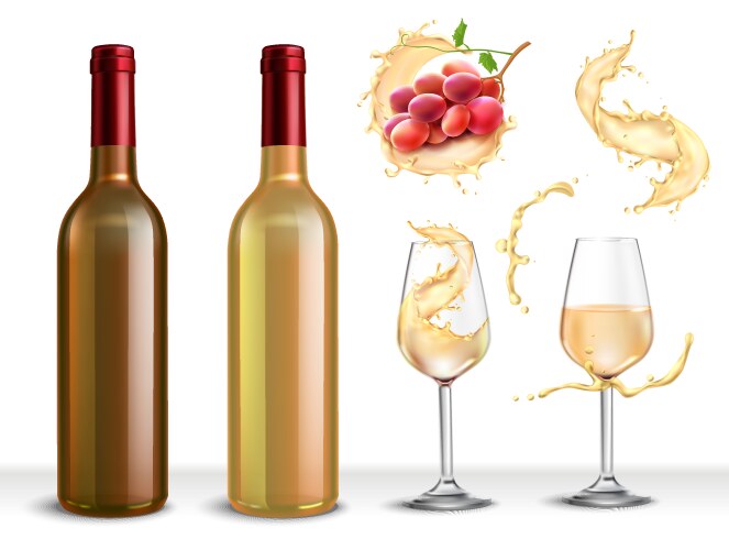 Red wine splash collection Royalty Free Vector Image
