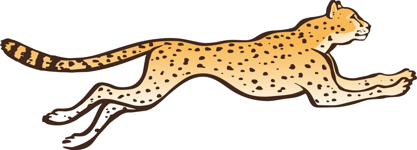 Cheetah running sketch vector image