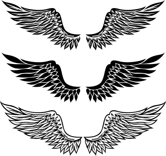 Stylized Angel Wings Vector Image