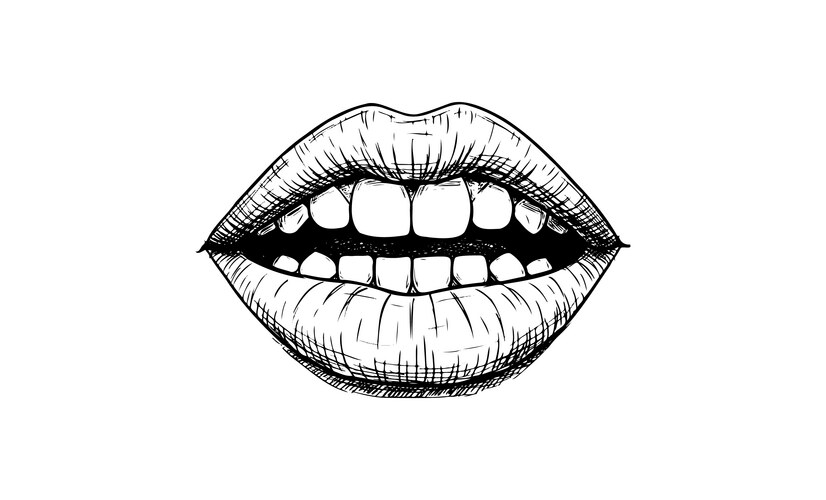 Detailed Black and White Human Lips Sketch Vector Image