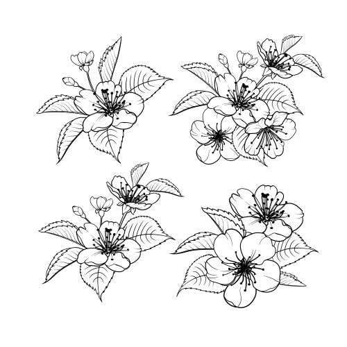 Sakura branch hand drawn Royalty Free Vector Image