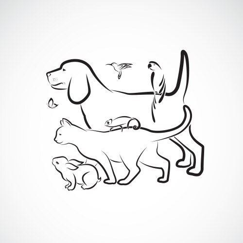 Adorable Pet Group - Dog, Cat, Parrot, Rabbit Vector Image