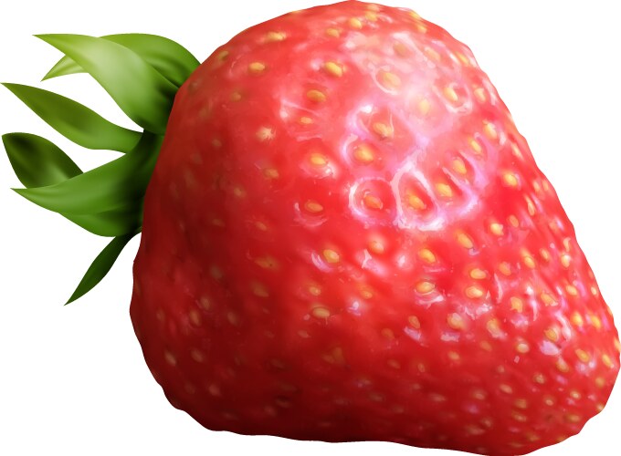 Realistic strawberry fruit composition vector image