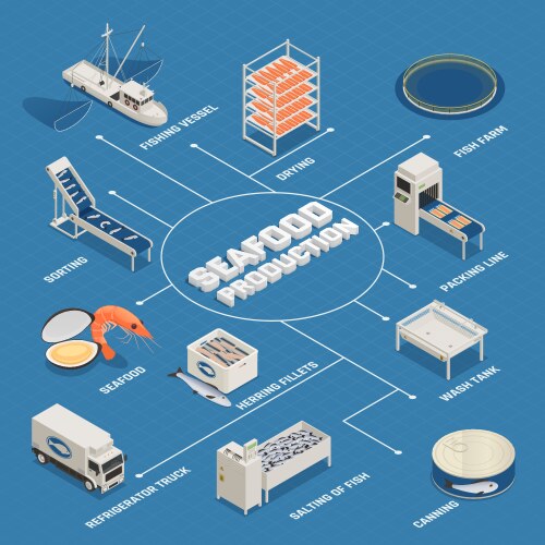 seafood production process flowchart vector image