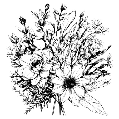 Wildflower Sketch - Botanical Print Vector Image