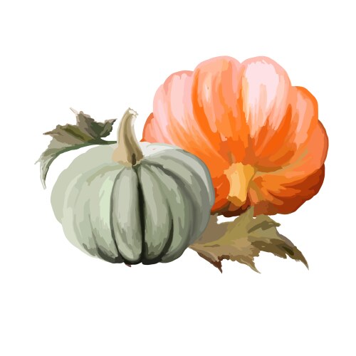Pumpkins with leaves isolated on white background Vector Image