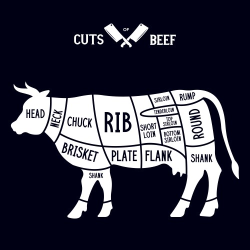 Meat cuts - beef diagrams for butcher shop vector image