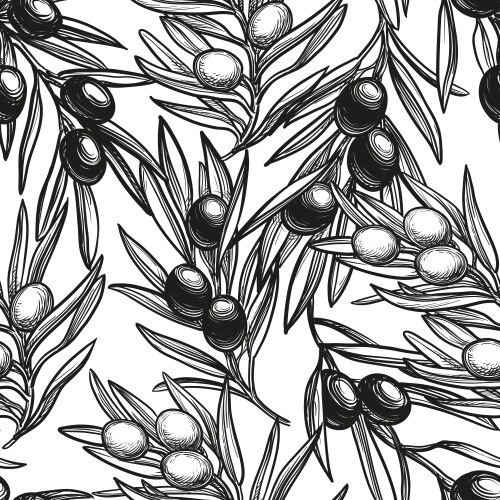 Olives seamless pattern olive branches background Vector Image