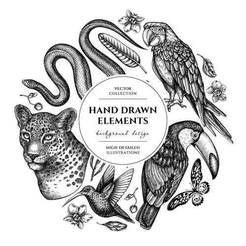 Tropical animals circle design hand drawn leopard Vector Image