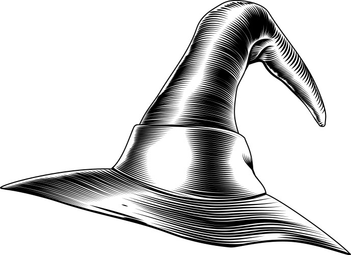 Wizard Monochrome Hat Royalty Free Vector Image