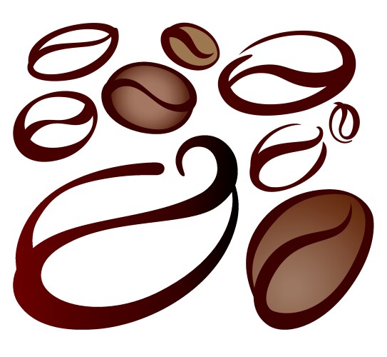 Coffee beans flower Royalty Free Vector Image - VectorStock