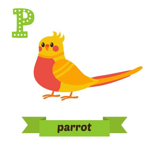 Parrot p letter cute children animal alphabet Vector Image