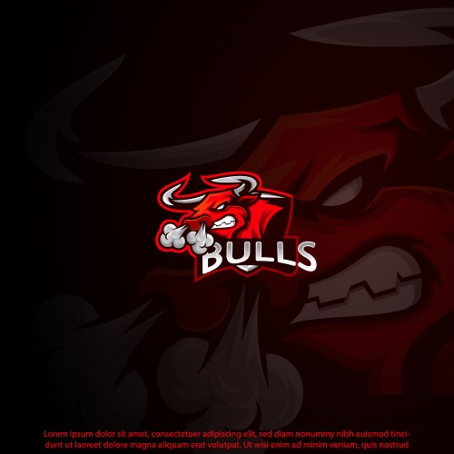 bulls mascot logo vector image