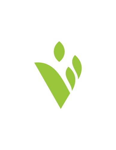 Green leaf seed organic logo Royalty Free Vector Image