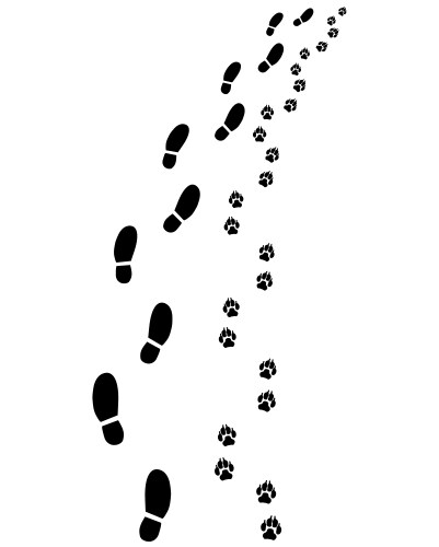 Footprints on a Path Vector Image