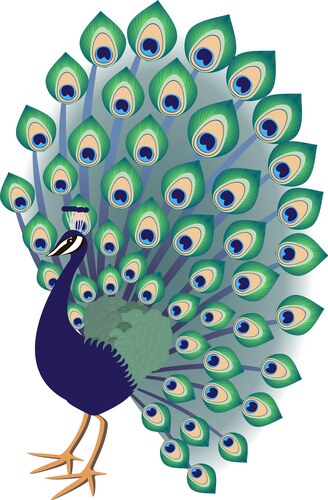 Douglas Peacock Fairy Wings - 20x44 Inch Dress-Up Wings For Kids Ages 3-7