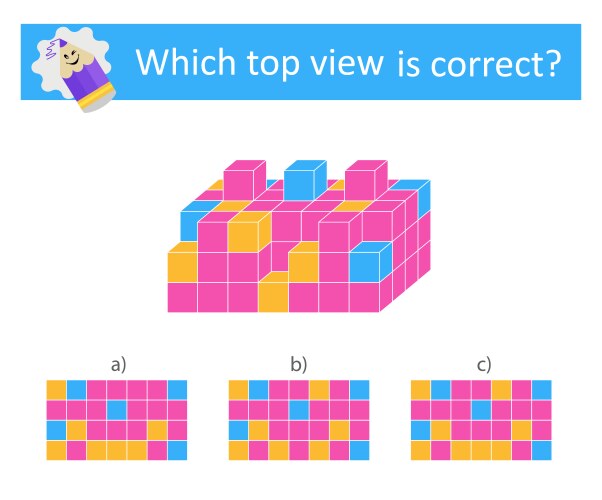 3D Puzzle Logic Game - Find the Correct View vector image