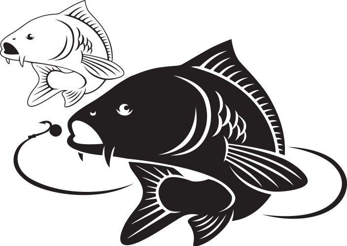 Carp Fish - Aquatic Life Vector Image