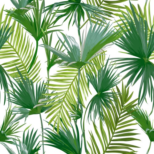 Tropical Palm Leaf Pattern Vector Image