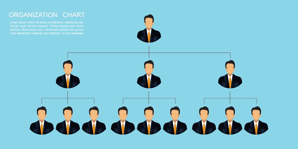 Organization chart template corporation vector image