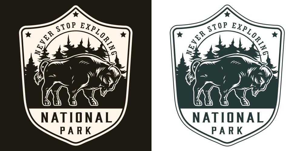 National park vintage print Vector Image