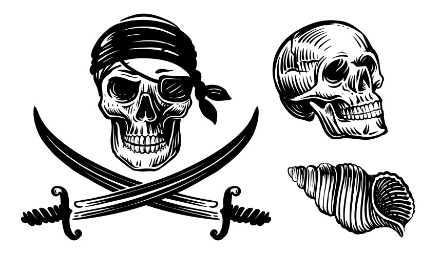 Skull pirate sketch scary skeleton with vintage Vector Image
