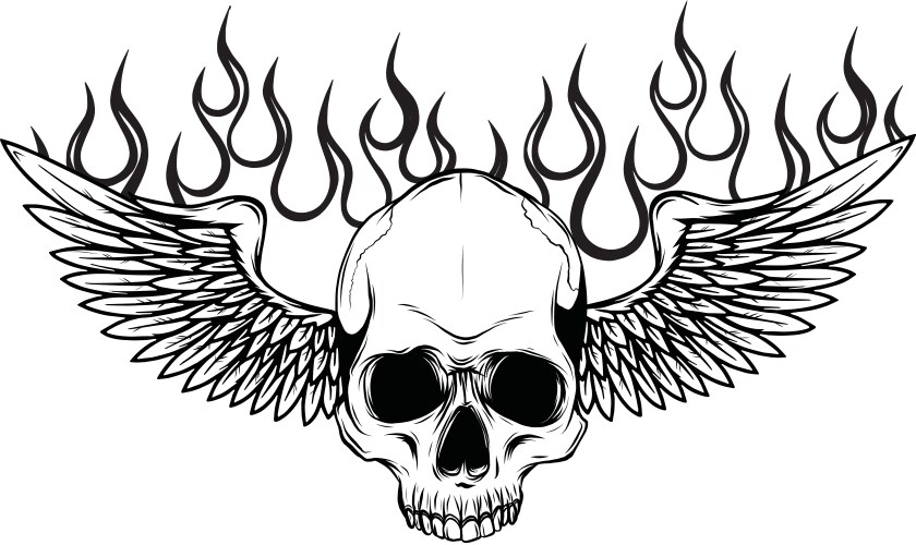 Winged skull grim reaper drawing in a vintage Vector Image