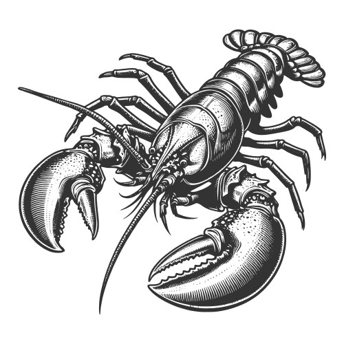 Sea Turtle Engraving Sketch Royalty Free Vector Image sea-turtle-engraving-sketch-royalty-free-vector-image