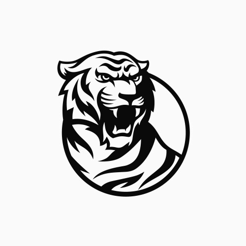 Tooth Drawing.pdf Fierce tiger roaring with bared teeth β Royalty-Free Vector | VectorStock