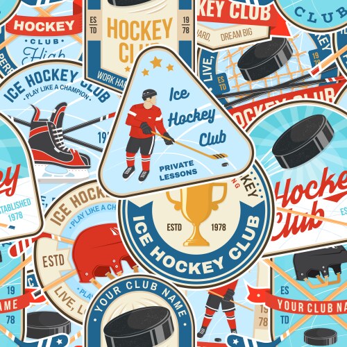 Colorful Ice Hockey Pattern Vector Image