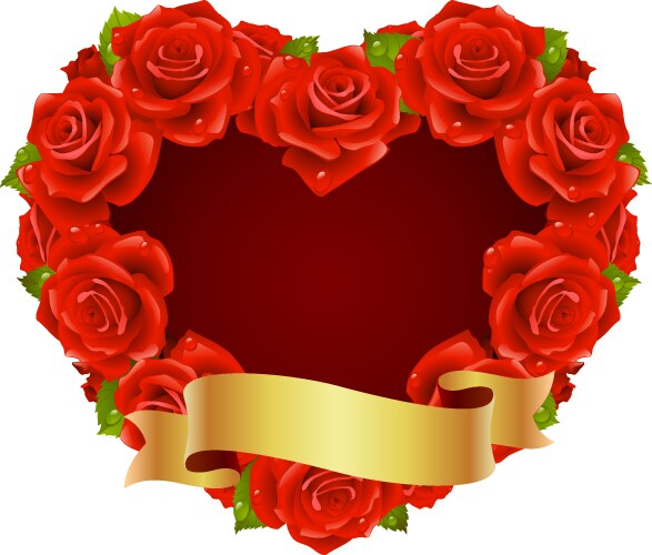 White rose design elements Royalty Free Vector Image