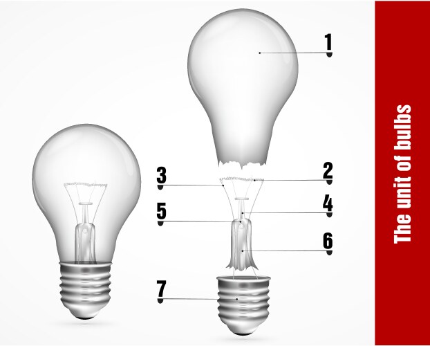 unit of energy-saving lamps vector