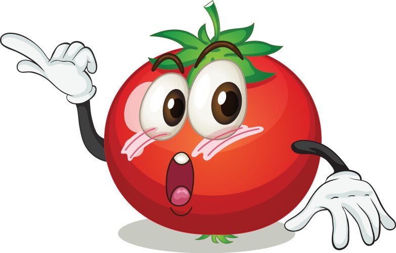 Tomato Royalty Free Vector Image - VectorStock