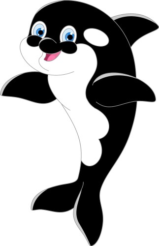 Killer whale Vector Image