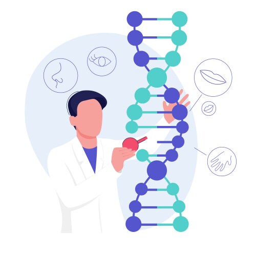 Genetic mutation normal and mutated genes Vector Image
