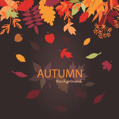 Autumn leaves stylized background seasonal Vector Image