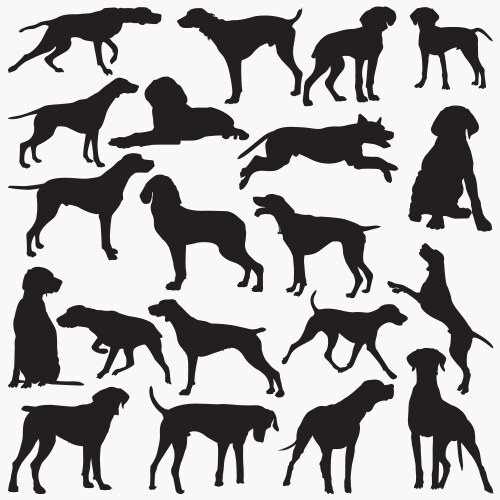 Dog Silhouettes - Pointer Breed Vector Image