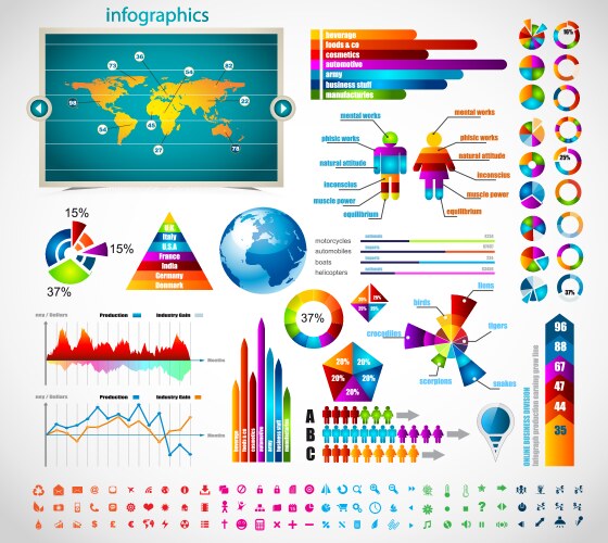 premium infographics vector image