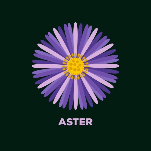 Aster Sign Aster Logo Vector Images (over 830)