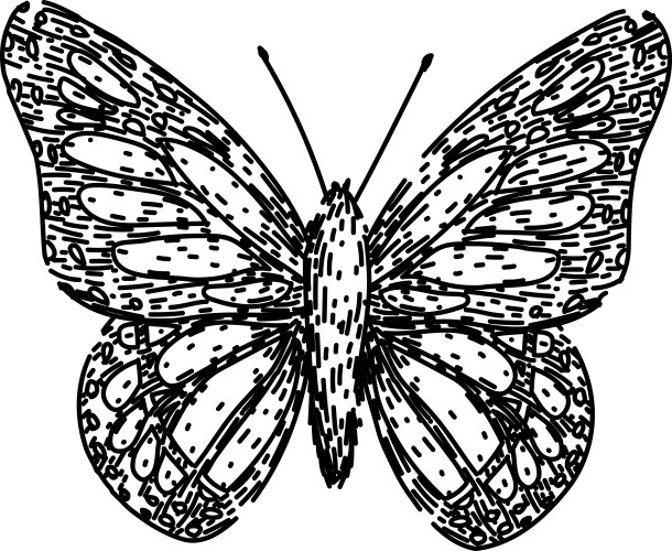 Butterfly sketch hand drawn Royalty Free Vector Image