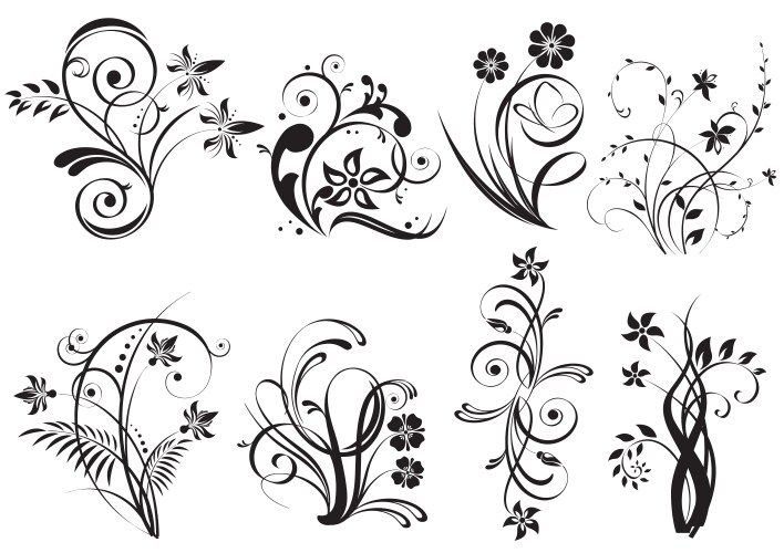 Floral design elements Royalty Free Vector Image