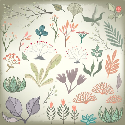 Floral elements collection hand drawn design set Vector Image